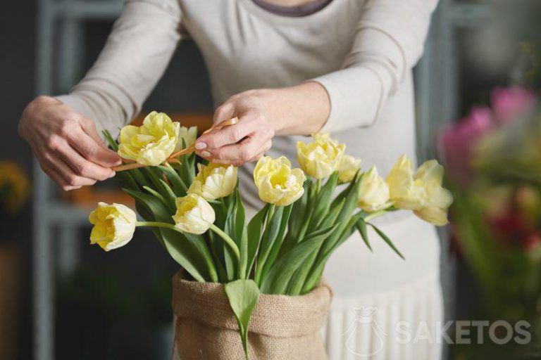 A bouquet of tulips in a burlap bag