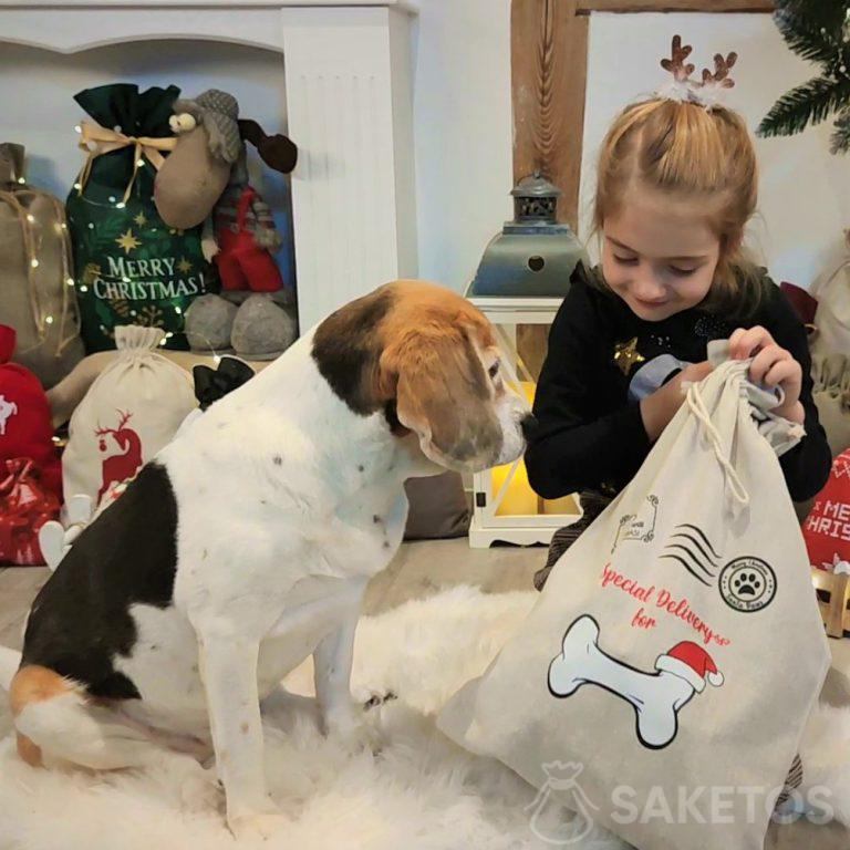 confezione regalo per il vostro animale domestico