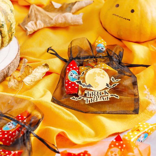 Sacchetti in organza con stampa di Halloween