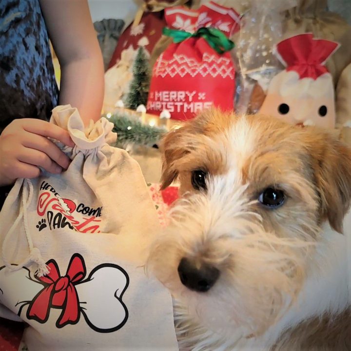 Sacco tipo lino 30 x 40 cm con stampa IT Sacchetti con stampa