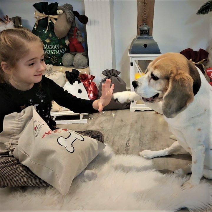 Sacco tipo lino 35 x 50 cm con stampa IT Sacchetti con stampa