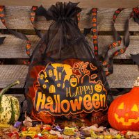 Sacchetti per Halloween (num.1) di organza 40 x 55 cm - nero Sacchetti neri