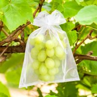 Sacchetti di organza 18 x 24 cm - fucsia Sacchetti per frutta
