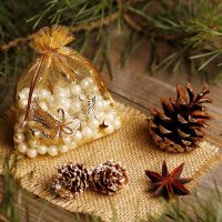 Sacchetti di organza 18 x 24 cm - Natale / 3 Tutti i prodotti