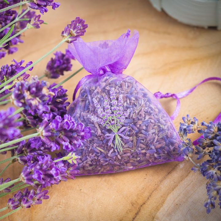Sacchetti di organza 7 x 9 cm - viola con stampa lavanda Lavanda