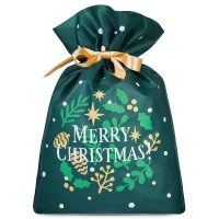 Sacchi nonwoven 20 x 30 cm con stampa - Natale Sacchetto di Natale