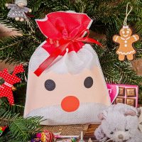 Sacchi nonwoven 22 x 31 cm con stampa - Babbo Natale Tutti i prodotti