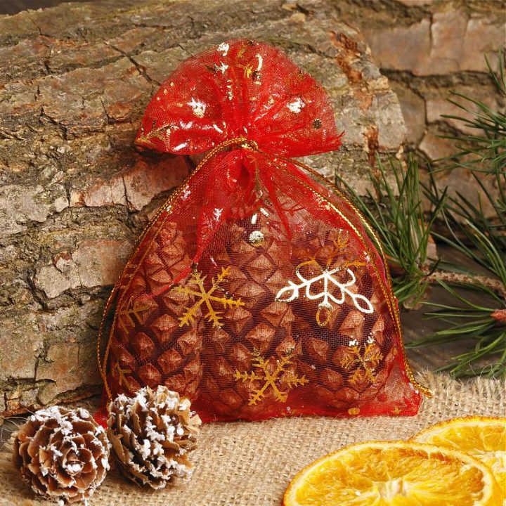 Sacchetti di organza 10 x 13 cm - Natale Sacchetti di organza