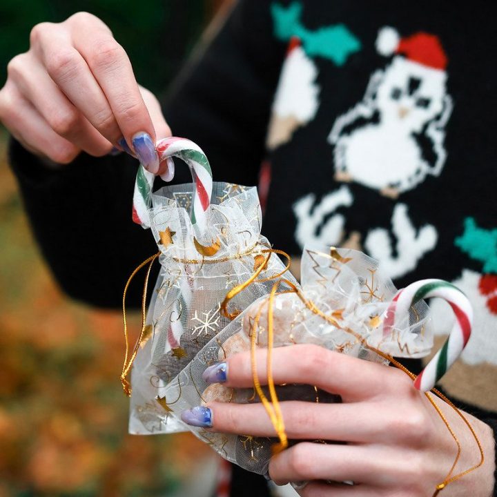 Sacchetti di organza 12 x 15 cm - Natale / 8 Sacchetti di organza