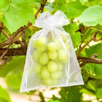 Sacchetti di organza 18 x 24 cm - verde Sacchetti medi