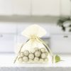 Sacchetti di organza 5 x 7 cm - avorio Sacchetti piccoli