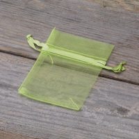 Sacchetti di organza 6 x 8 cm - verde Pasqua