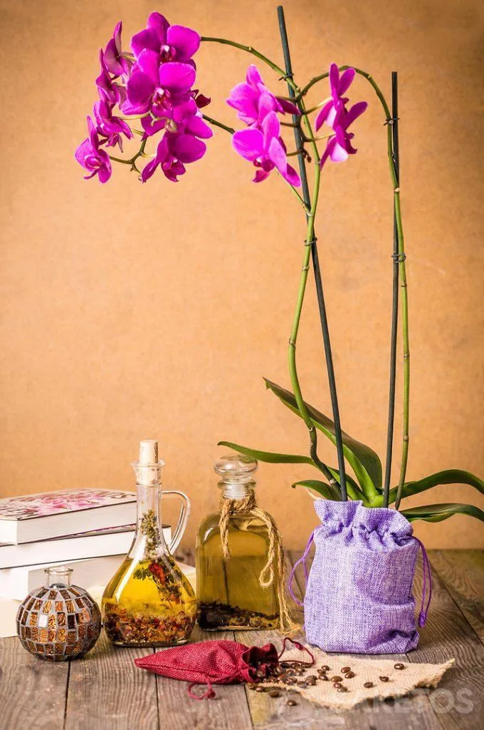 Orchidea avvolta in un sacchetto decorativo di iuta.