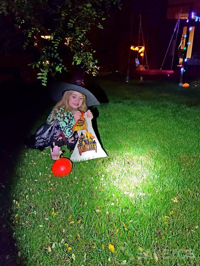 Divertimento di Halloween per bambini - Sacchetti per la caccia alle caramelle di Halloween