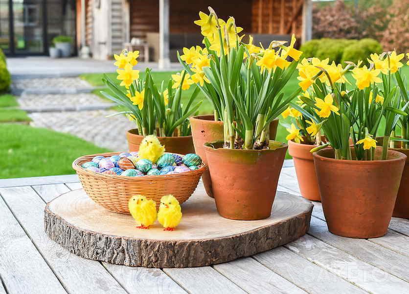 Fiori di primavera davanti alla casa
