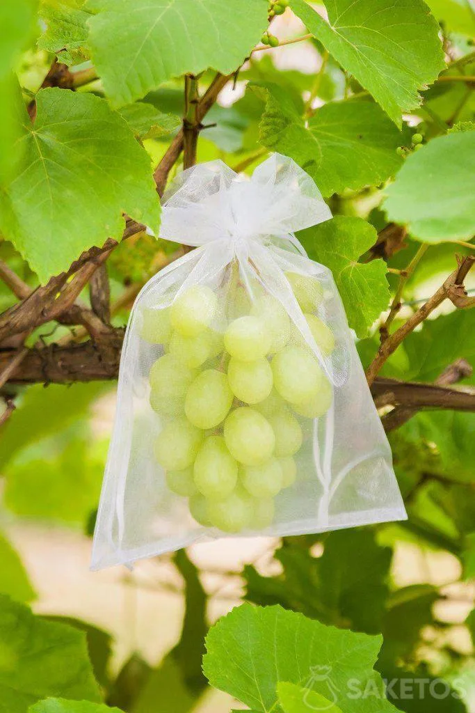 Sacchetti di organza fai da te