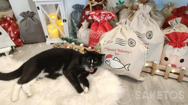 confezioni regalo per cani e gatti
