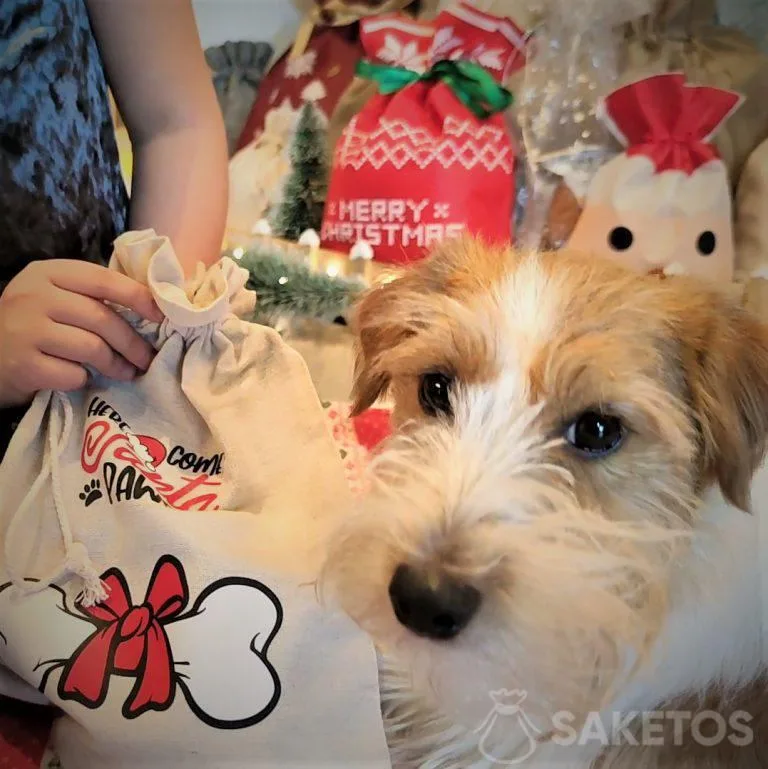 Create la vostra confezione regalo per il vostro animale domestico