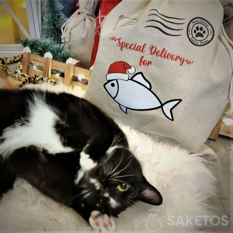 confezioni regalo per cani e gatti