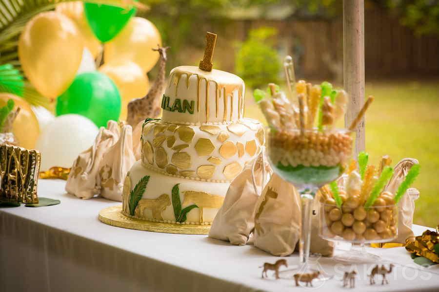 Primo compleanno - un anno a tema giungla