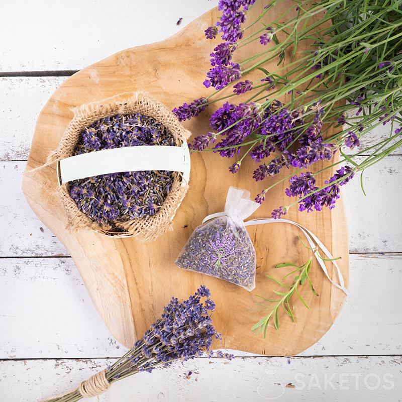 Suggerimenti per essiccare la lavanda per sacchetti di organza!