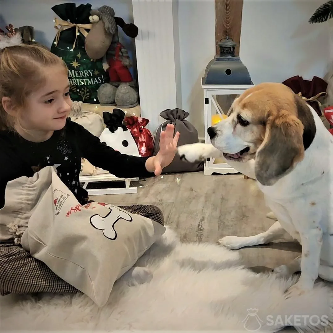 confezioni regalo per cani e gatti