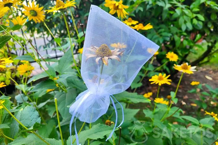 Come conservare i semi? Scoprite i sacchetti di organza per la raccolta e la conservazione dei semi