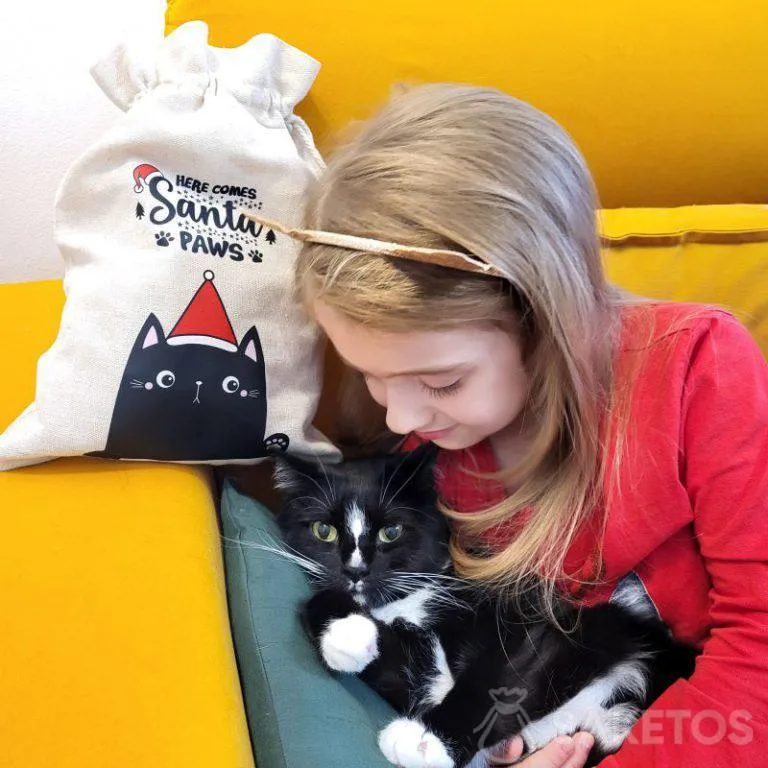 confezione regalo per il vostro animale domestico