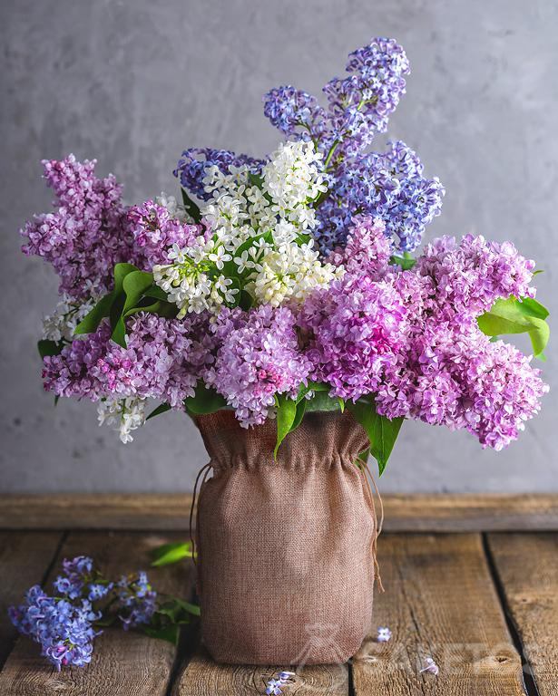 Sacco di juta come coprivaso con fiori lilla
