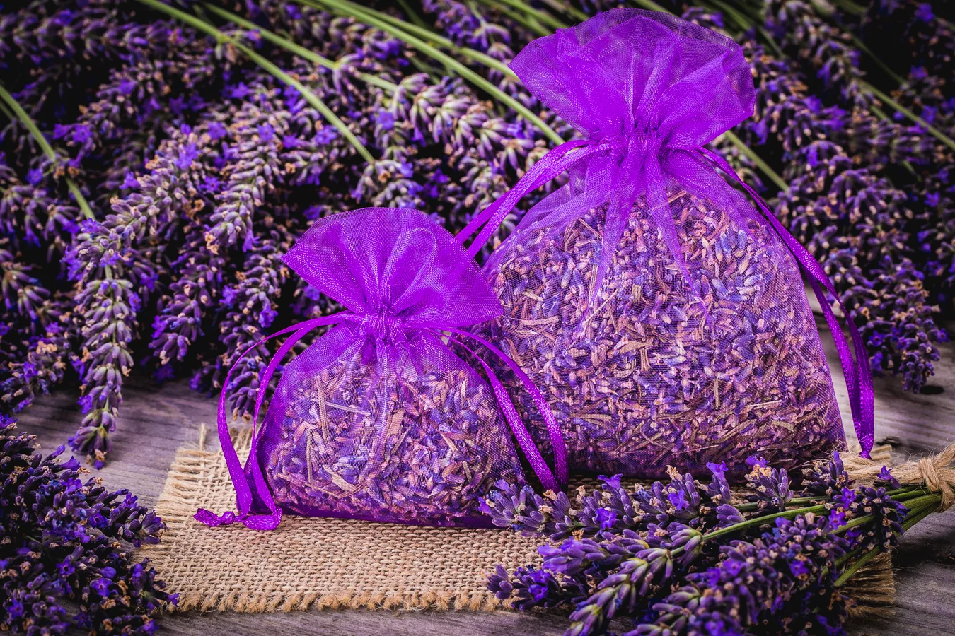Sacchetti per lavanda in organza – un esempio di confezione elegante e decorativa